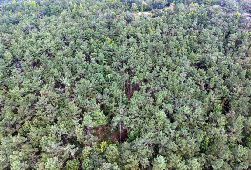 0 PREACHER DR, Counce, Tennessee 38326, 0 , 0 ,0,Land,For Sale,PREACHER,0,10229518