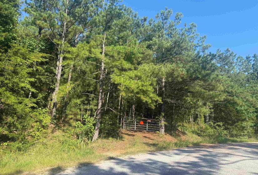 0 PREACHER DR, Counce, Tennessee 38326, 0 , 0 ,0,Land,For Sale,PREACHER,0,10229518