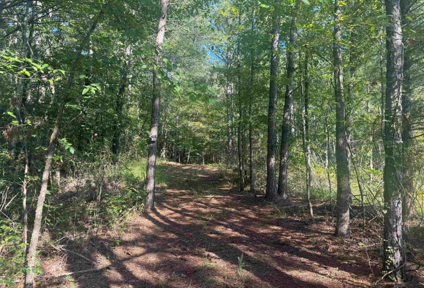 0 PREACHER DR, Counce, Tennessee 38326, 0 , 0 ,0,Land,For Sale,PREACHER,0,10229518