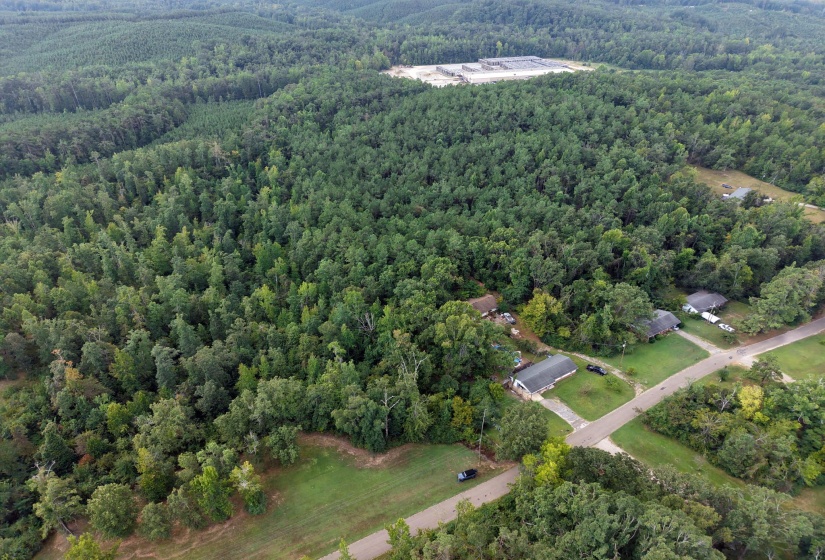0 PREACHER DR, Counce, Tennessee 38326, 0 , 0 ,0,Land,For Sale,PREACHER,0,10229518