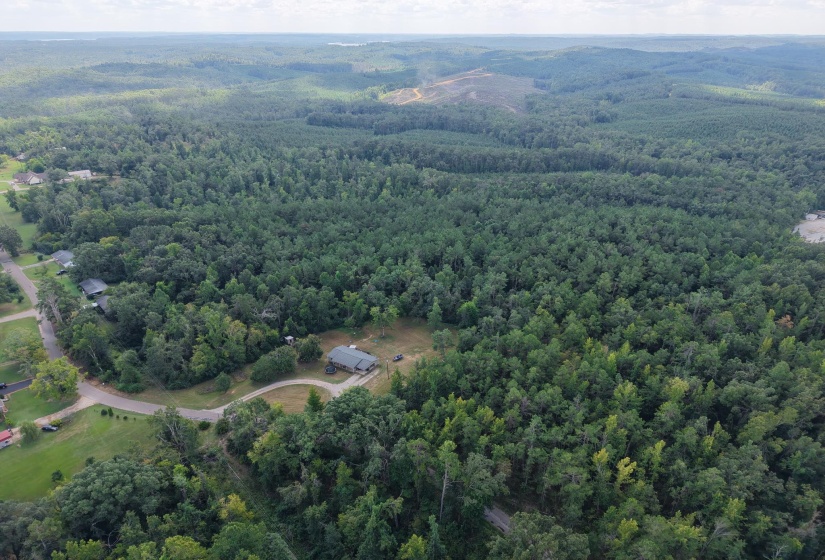 0 PREACHER DR, Counce, Tennessee 38326, 0 , 0 ,0,Land,For Sale,PREACHER,0,10229518