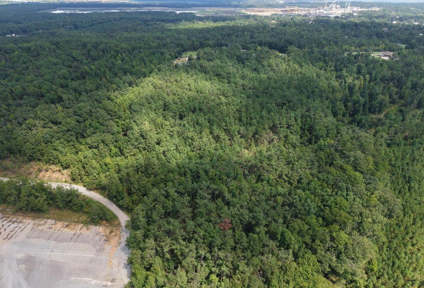 0 PREACHER DR, Counce, Tennessee 38326, 0 , 0 ,0,Land,For Sale,PREACHER,0,10229518