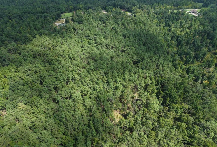 0 PREACHER DR, Counce, Tennessee 38326, 0 , 0 ,0,Land,For Sale,PREACHER,0,10229518