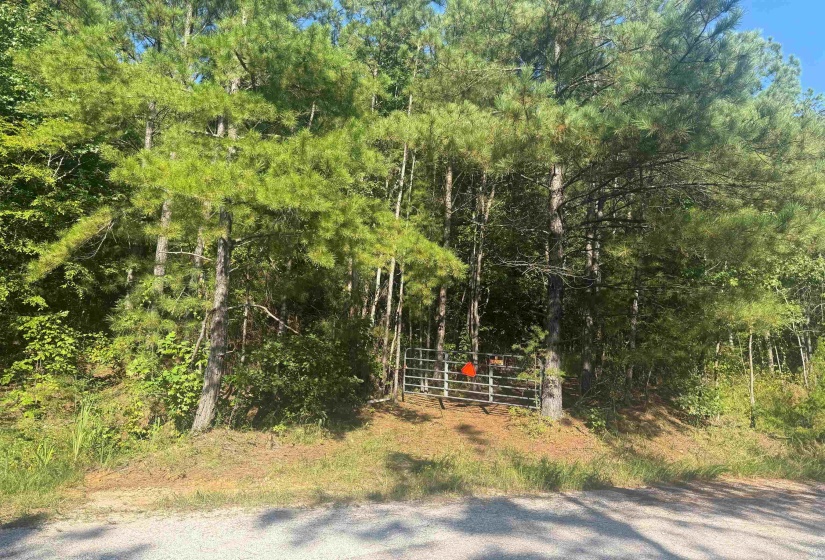 0 PREACHER DR, Counce, Tennessee 38326, 0 , 0 ,0,Land,For Sale,PREACHER,0,10229518