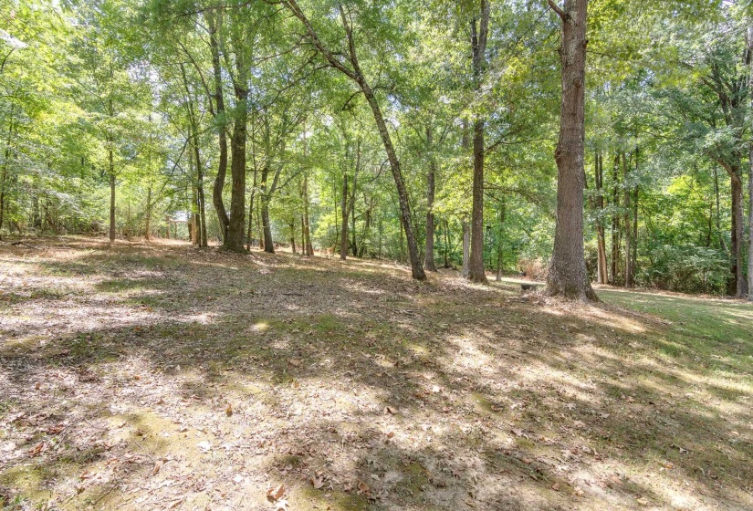 11095 LATTING RD, Eads, Tennessee 38028, 5 Bedroom Bedrooms, 11 Room Rooms,4.1 BathroomBathrooms,Residential,For Sale,LATTING,0,10229505