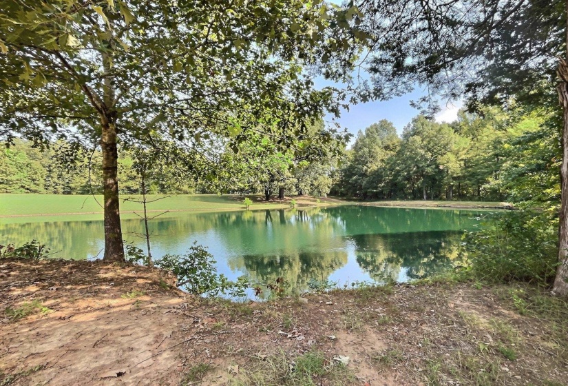 5995 BOBBITT RD, Moscow, Tennessee 38057, 0 , 0 ,0,Land,For Sale,BOBBITT,0,10229552