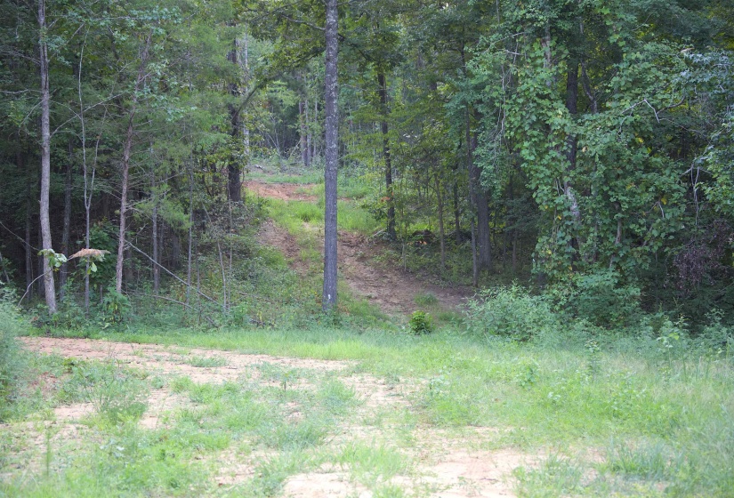 2797 HARDAWAY CHURCH RD, Michigan City, Mississippi 38647, 0 , 0 ,0,Land,For Sale,HARDAWAY CHURCH,0,10229579