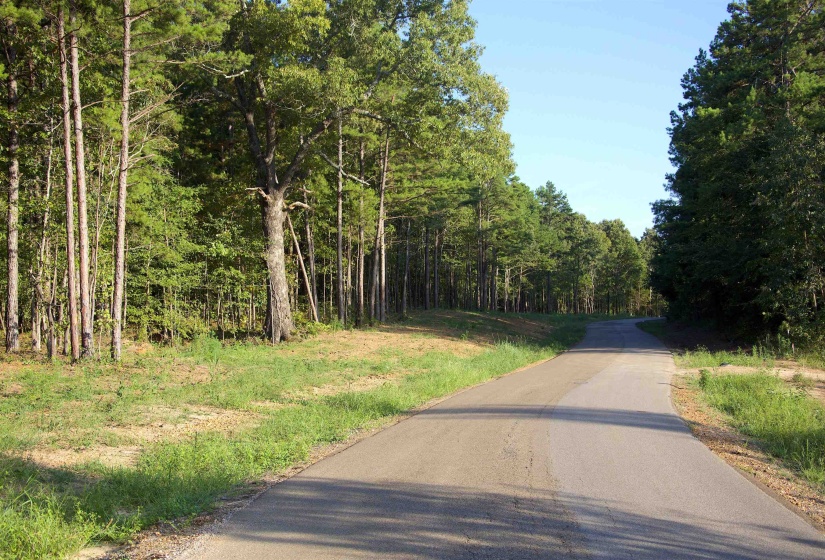 2797 HARDAWAY CHURCH RD, Michigan City, Mississippi 38647, 0 , 0 ,0,Land,For Sale,HARDAWAY CHURCH,0,10229579