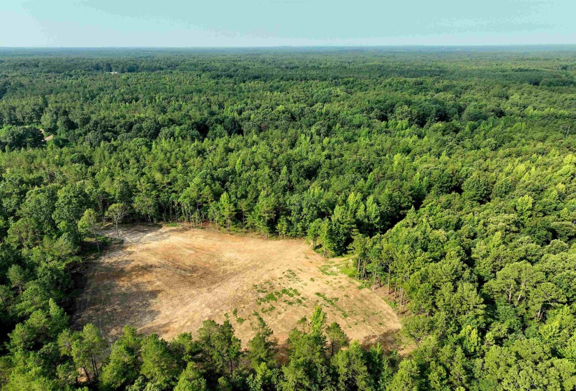 2797 HARDAWAY CHURCH RD, Michigan City, Mississippi 38647, 0 , 0 ,0,Land,For Sale,HARDAWAY CHURCH,0,10229579