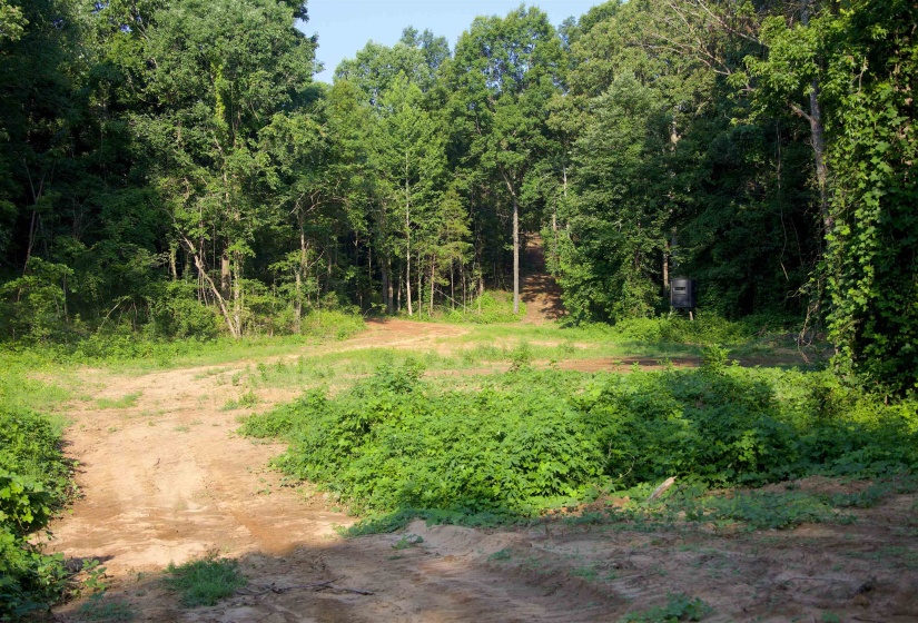 2797 HARDAWAY CHURCH RD, Michigan City, Mississippi 38647, 0 , 0 ,0,Land,For Sale,HARDAWAY CHURCH,0,10229579