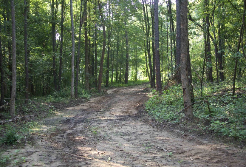 2797 HARDAWAY CHURCH RD, Michigan City, Mississippi 38647, 0 , 0 ,0,Land,For Sale,HARDAWAY CHURCH,0,10229579