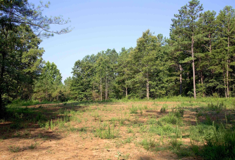 2797 HARDAWAY CHURCH RD, Michigan City, Mississippi 38647, 0 , 0 ,0,Land,For Sale,HARDAWAY CHURCH,0,10229579
