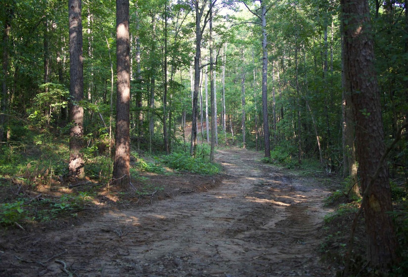 2797 HARDAWAY CHURCH RD, Michigan City, Mississippi 38647, 0 , 0 ,0,Land,For Sale,HARDAWAY CHURCH,0,10229579