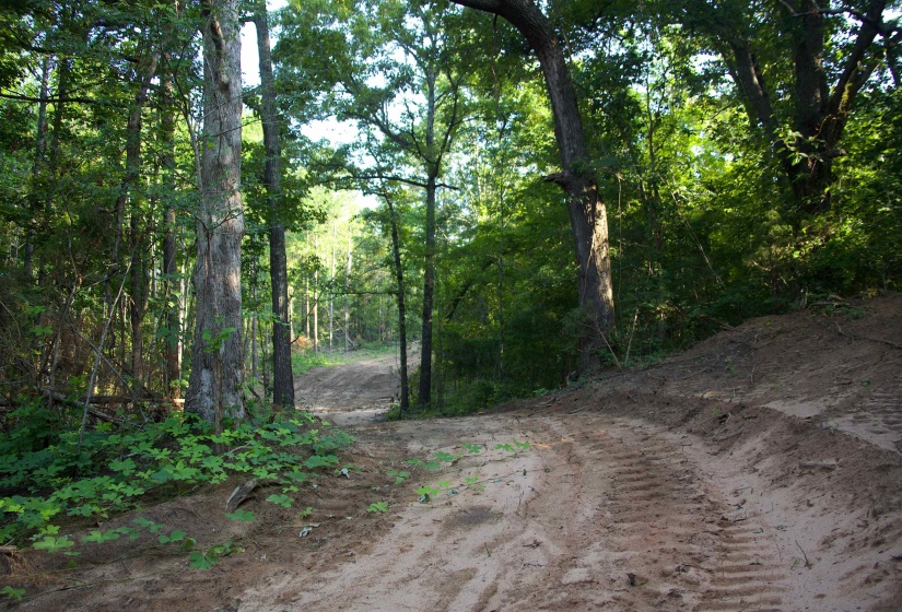 2797 HARDAWAY CHURCH RD, Michigan City, Mississippi 38647, 0 , 0 ,0,Land,For Sale,HARDAWAY CHURCH,0,10229579