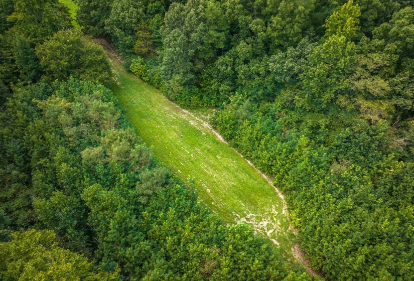 0 OLD BROWNSVILLE RD, Somerville, Tennessee 38068, 0 , 0 ,0,Land,For Sale,OLD BROWNSVILLE,0,10229598