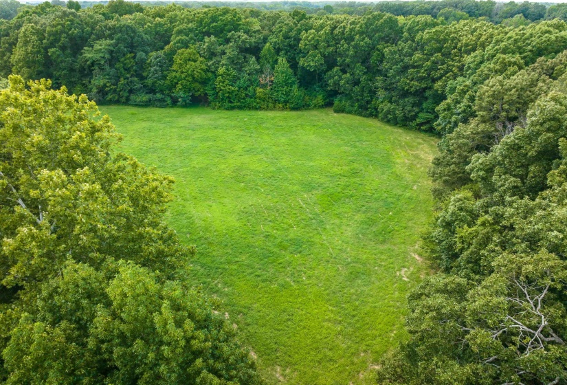 0 OLD BROWNSVILLE RD, Somerville, Tennessee 38068, 0 , 0 ,0,Land,For Sale,OLD BROWNSVILLE,0,10229598