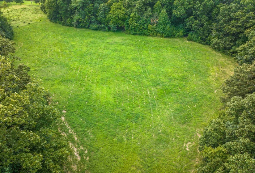 0 OLD BROWNSVILLE RD, Somerville, Tennessee 38068, 0 , 0 ,0,Land,For Sale,OLD BROWNSVILLE,0,10229598