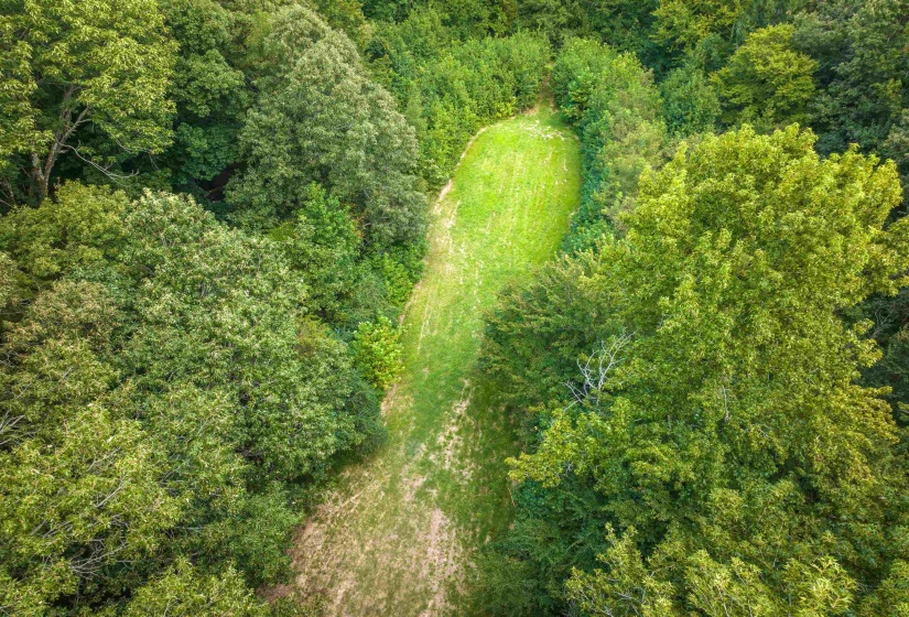 0 OLD BROWNSVILLE RD, Somerville, Tennessee 38068, 0 , 0 ,0,Land,For Sale,OLD BROWNSVILLE,0,10229598