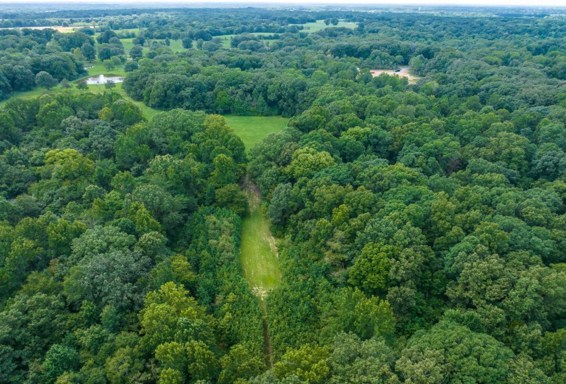 0 OLD BROWNSVILLE RD, Somerville, Tennessee 38068, 0 , 0 ,0,Land,For Sale,OLD BROWNSVILLE,0,10229598