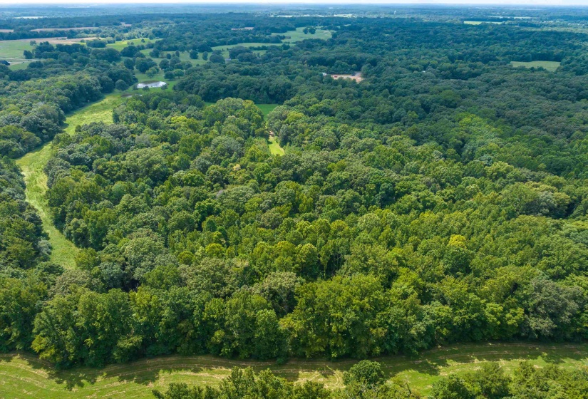 0 OLD BROWNSVILLE RD, Somerville, Tennessee 38068, 0 , 0 ,0,Land,For Sale,OLD BROWNSVILLE,0,10229598