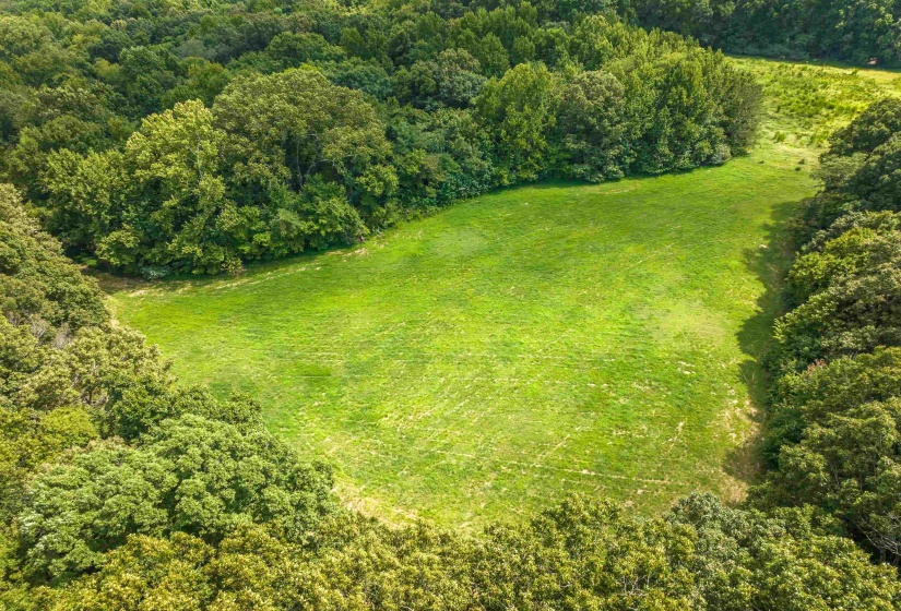 0 OLD BROWNSVILLE RD, Somerville, Tennessee 38068, 0 , 0 ,0,Land,For Sale,OLD BROWNSVILLE,0,10229598