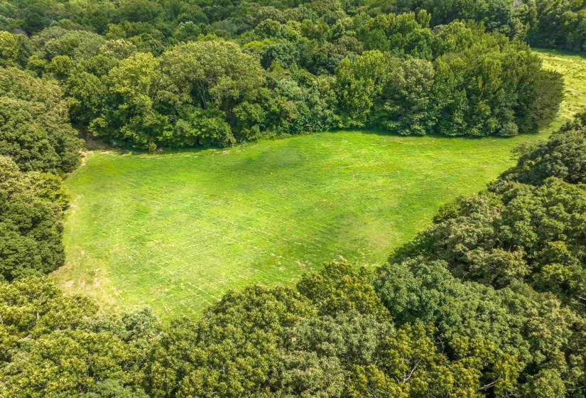 0 OLD BROWNSVILLE RD, Somerville, Tennessee 38068, 0 , 0 ,0,Land,For Sale,OLD BROWNSVILLE,0,10229598