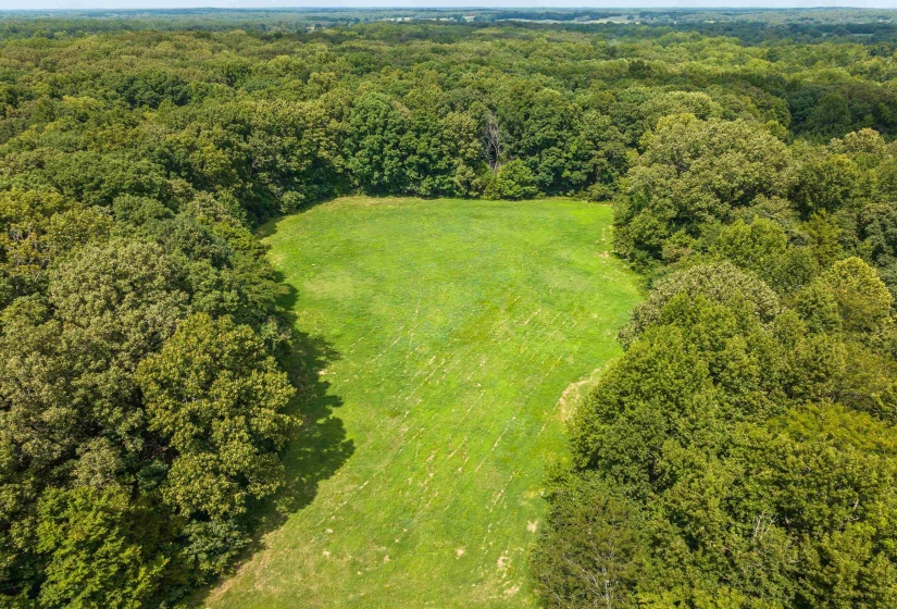 0 OLD BROWNSVILLE RD, Somerville, Tennessee 38068, 0 , 0 ,0,Land,For Sale,OLD BROWNSVILLE,0,10229598