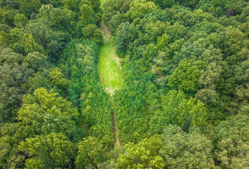 0 OLD BROWNSVILLE RD, Somerville, Tennessee 38068, 0 , 0 ,0,Land,For Sale,OLD BROWNSVILLE,0,10229598