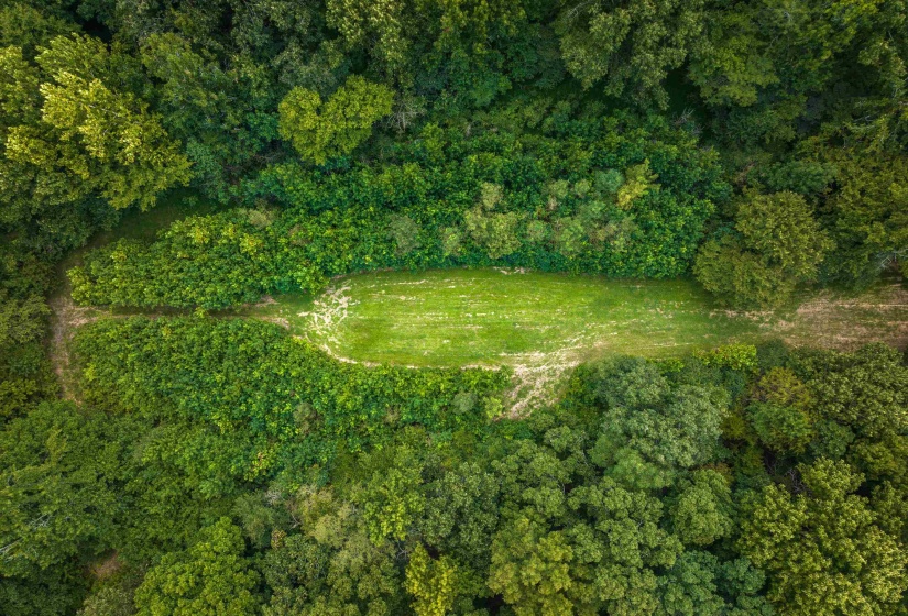 0 OLD BROWNSVILLE RD, Somerville, Tennessee 38068, 0 , 0 ,0,Land,For Sale,OLD BROWNSVILLE,0,10229598