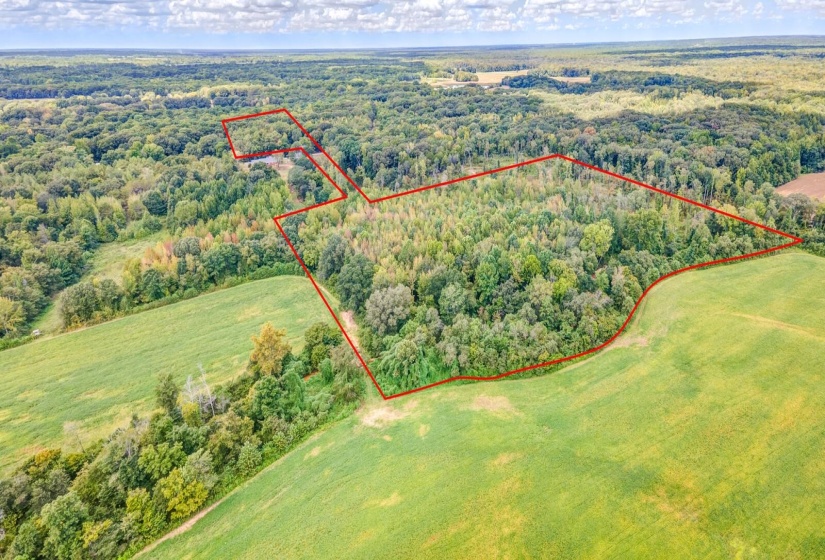 0 HILLVILLE LOOP, Whiteville, Tennessee 38075, 0 , 0 ,0,Land,For Sale,HILLVILLE,0,10229606