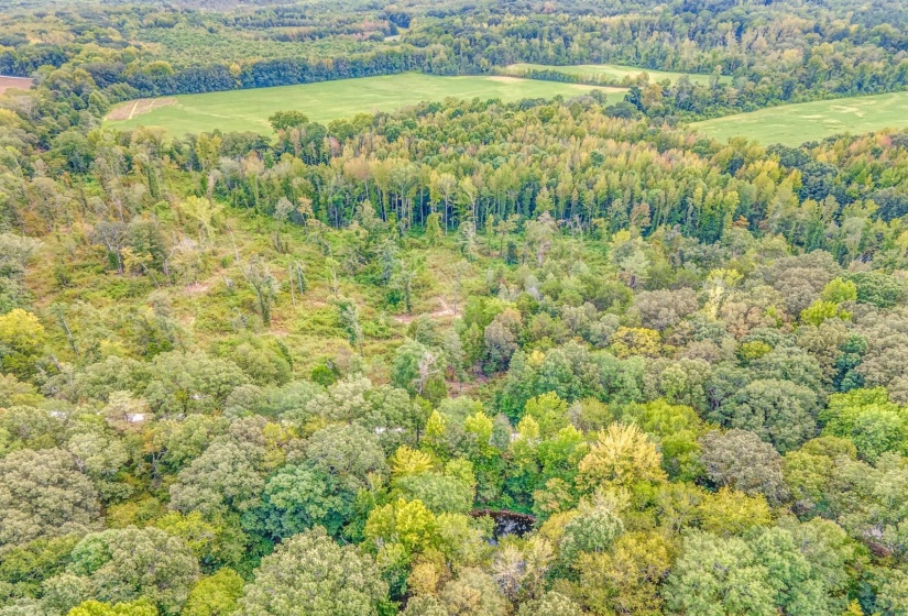 0 HILLVILLE LOOP, Whiteville, Tennessee 38075, 0 , 0 ,0,Land,For Sale,HILLVILLE,0,10229606