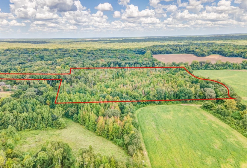 0 HILLVILLE LOOP, Whiteville, Tennessee 38075, 0 , 0 ,0,Land,For Sale,HILLVILLE,0,10229606