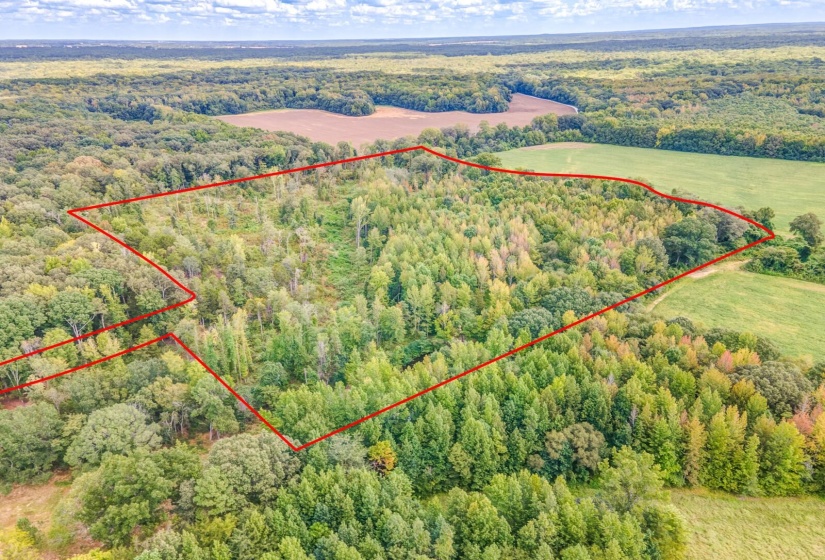 0 HILLVILLE LOOP, Whiteville, Tennessee 38075, 0 , 0 ,0,Land,For Sale,HILLVILLE,0,10229606