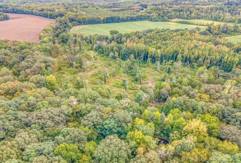 0 HILLVILLE LOOP, Whiteville, Tennessee 38075, 0 , 0 ,0,Land,For Sale,HILLVILLE,0,10229606