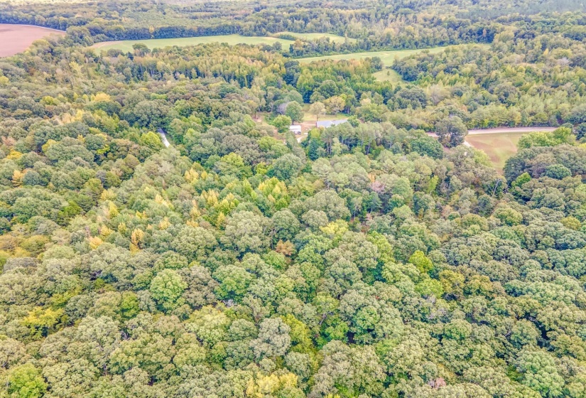 0 HILLVILLE LOOP, Whiteville, Tennessee 38075, 0 , 0 ,0,Land,For Sale,HILLVILLE,0,10229606