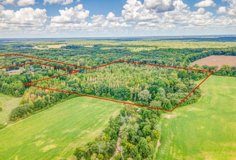 0 HILLVILLE LOOP, Whiteville, Tennessee 38075, 0 , 0 ,0,Land,For Sale,HILLVILLE,0,10229606