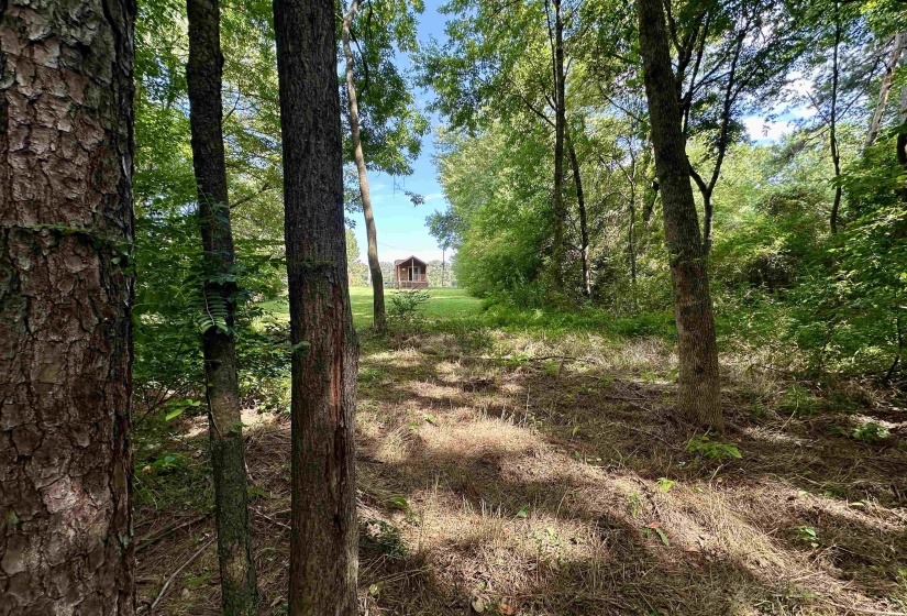 5735 RAILROAD ST, Williston, Tennessee 38076, 1 Bedroom Bedrooms, 2 Room Rooms,1 BathroomBathrooms,Residential,For Sale,RAILROAD,0,10229581
