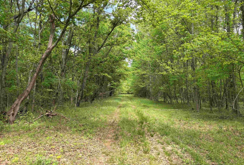0 OSBORNTOWN RD, Arlington, Tennessee 38002, 0 , 0 ,0,Land,For Sale,OSBORNTOWN,0,10229650