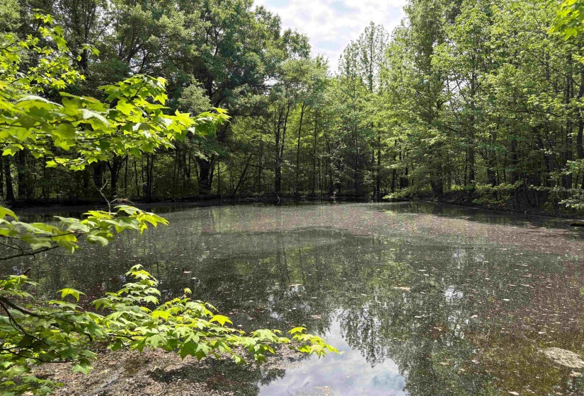 0 OSBORNTOWN RD, Arlington, Tennessee 38002, 0 , 0 ,0,Land,For Sale,OSBORNTOWN,0,10229650