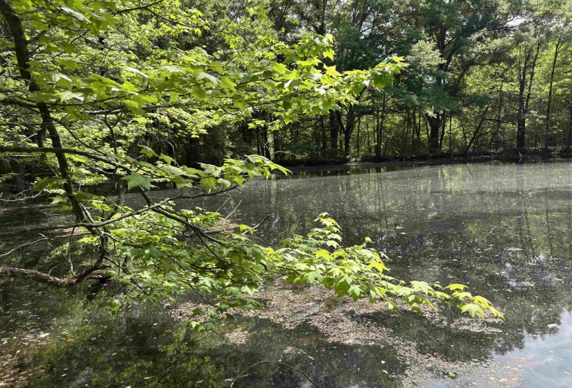 0 OSBORNTOWN RD, Arlington, Tennessee 38002, 0 , 0 ,0,Land,For Sale,OSBORNTOWN,0,10229650