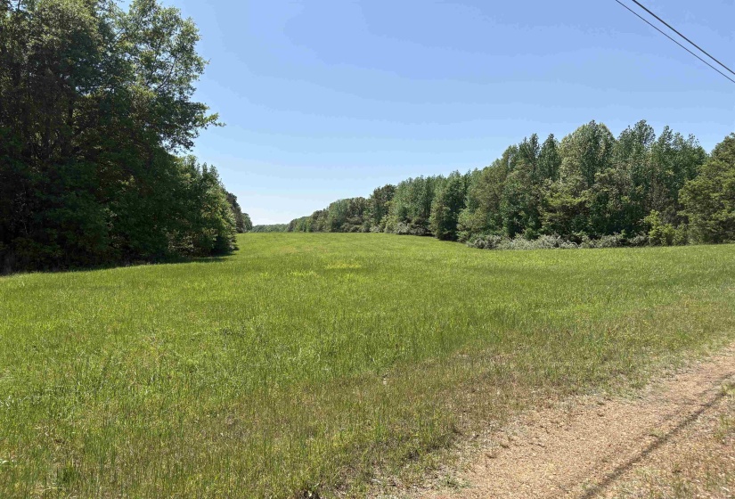0 OSBORNTOWN RD, Arlington, Tennessee 38002, 0 , 0 ,0,Land,For Sale,OSBORNTOWN,0,10229650