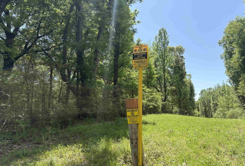 0 OSBORNTOWN RD, Arlington, Tennessee 38002, 0 , 0 ,0,Land,For Sale,OSBORNTOWN,0,10229650