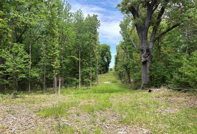0 OSBORNTOWN RD, Arlington, Tennessee 38002, 0 , 0 ,0,Land,For Sale,OSBORNTOWN,0,10229650