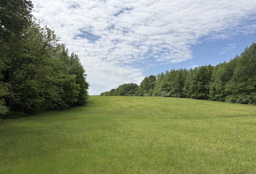 0 OSBORNTOWN RD, Arlington, Tennessee 38002, 0 , 0 ,0,Land,For Sale,OSBORNTOWN,0,10229650