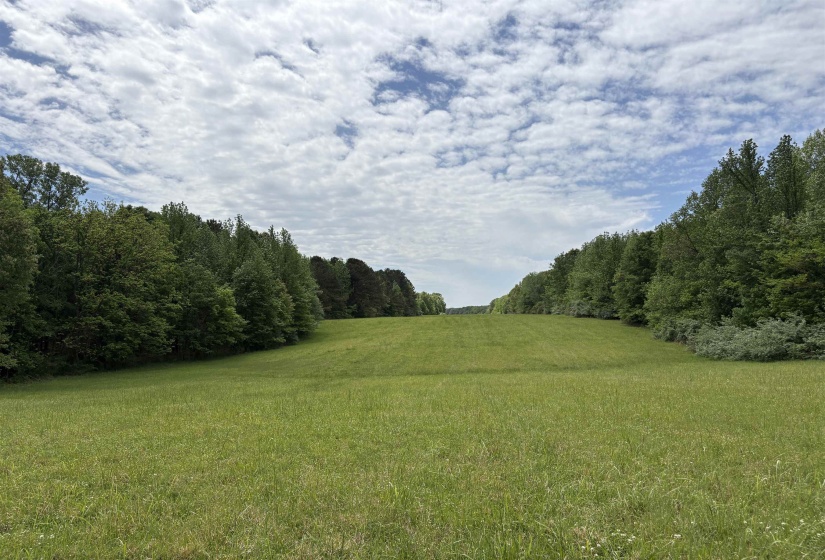 0 OSBORNTOWN RD, Arlington, Tennessee 38002, 0 , 0 ,0,Land,For Sale,OSBORNTOWN,0,10229650