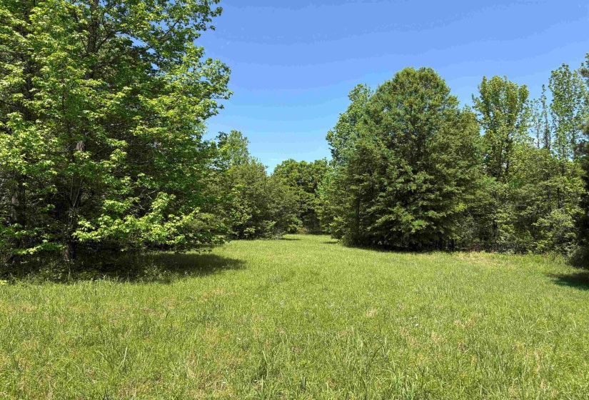 0 OSBORNTOWN RD, Arlington, Tennessee 38002, 0 , 0 ,0,Land,For Sale,OSBORNTOWN,0,10229651