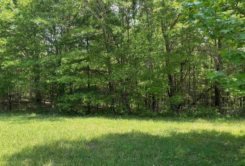 0 OSBORNTOWN RD, Arlington, Tennessee 38002, 0 , 0 ,0,Land,For Sale,OSBORNTOWN,0,10229651