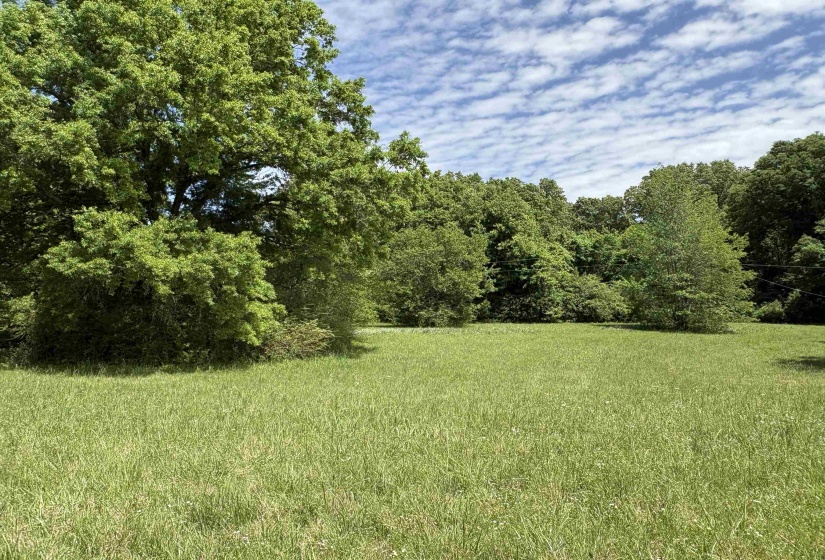 0 OSBORNTOWN RD, Arlington, Tennessee 38002, 0 , 0 ,0,Land,For Sale,OSBORNTOWN,0,10229651