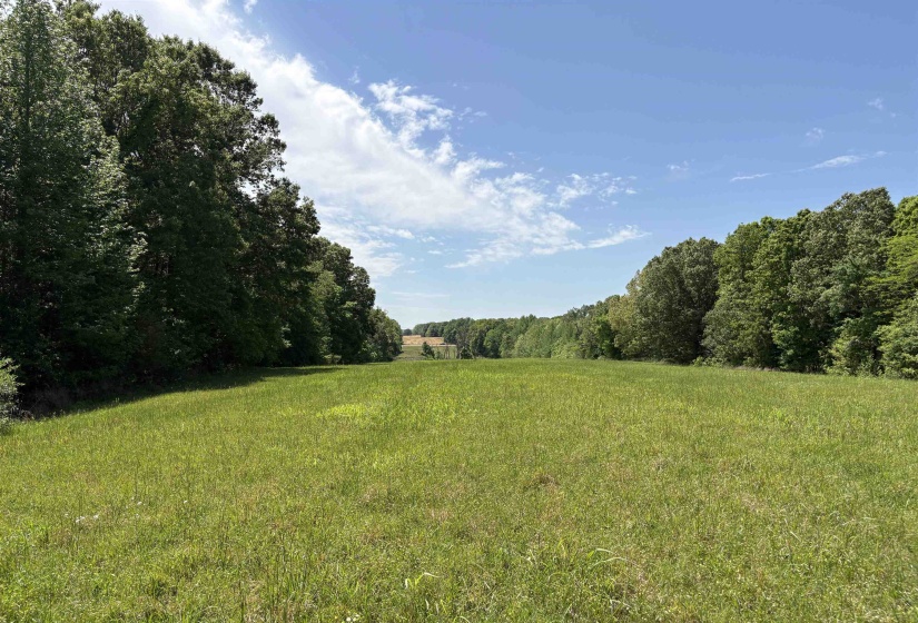 0 OSBORNTOWN RD, Arlington, Tennessee 38002, 0 , 0 ,0,Land,For Sale,OSBORNTOWN,0,10229651