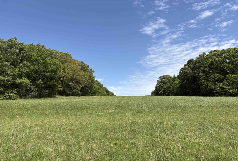 0 OSBORNTOWN RD, Arlington, Tennessee 38002, 0 , 0 ,0,Land,For Sale,OSBORNTOWN,0,10229651